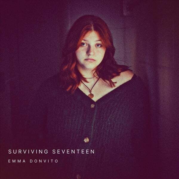 Cover art for Surviving Seventeen